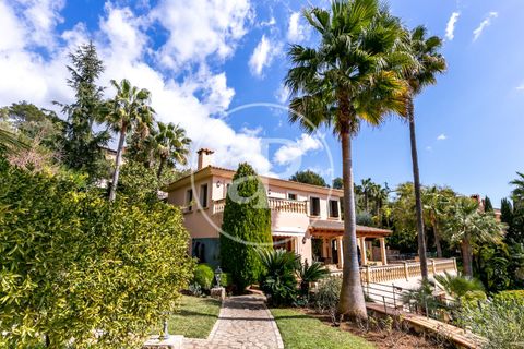 Villa a Bunyola, Mallorca, Bunyola - € 9.500/mes | Ref: APMS2403002 - foto 36