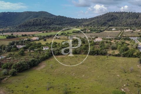 Grond in Arta, Mallorca, Arta - € 3.500.000 | Ref: VPM2405008 - foto 6