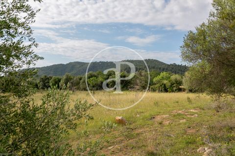 Grond in Arta, Mallorca, Arta - € 3.500.000 | Ref: VPM2405008 - foto 7