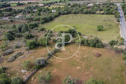 Grond in Arta, Mallorca, Arta - € 3.500.000 | Ref: VPM2405008 - foto 9