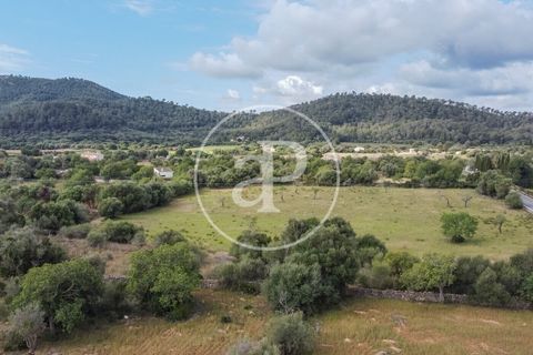 Grond in Arta, Mallorca, Arta - € 3.500.000 | Ref: VPM2405008 - foto 10
