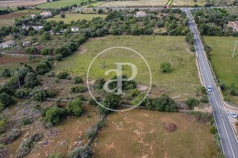 Grond in Arta, Mallorca, Arta - € 3.500.000 | Ref: VPM2405008 - foto 11