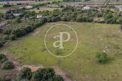 Grond in Arta, Mallorca, Arta - € 3.500.000 | Ref: VPM2405008 - foto 12