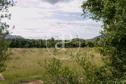 Grond in Arta, Mallorca, Arta - € 3.500.000 | Ref: VPM2405008 - foto 13