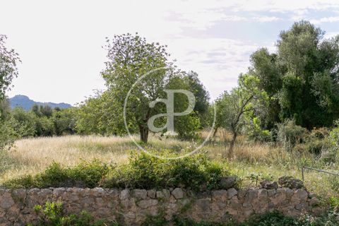 Grond in Arta, Mallorca, Arta - € 3.500.000 | Ref: VPM2405008 - foto 17