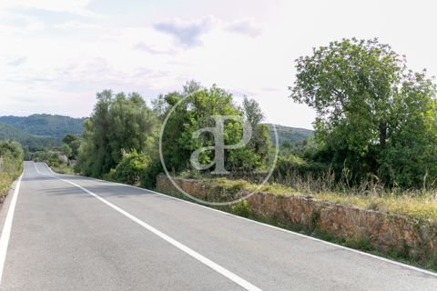 Grond in Arta, Mallorca, Arta - € 3.500.000 | Ref: VPM2405008 - foto 18