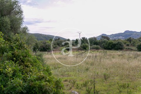 Grond in Arta, Mallorca, Arta - € 3.500.000 | Ref: VPM2405008 - foto 19
