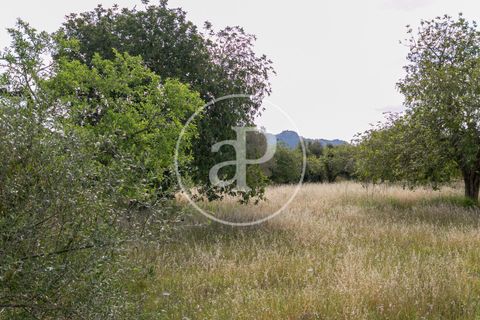 Grond in Arta, Mallorca, Arta - € 3.500.000 | Ref: VPM2405008 - foto 21
