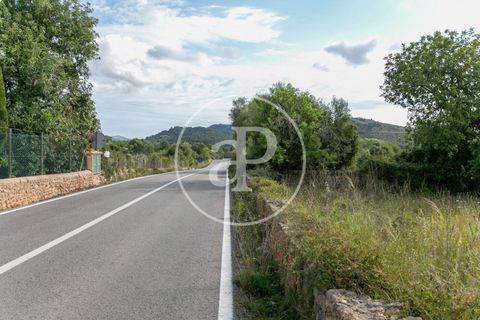 Grond in Arta, Mallorca, Arta - € 3.500.000 | Ref: VPM2405008 - foto 22