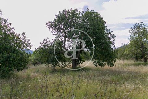 Grond in Arta, Mallorca, Arta - € 3.500.000 | Ref: VPM2405008 - foto 23