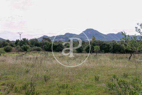 Grond in Arta, Mallorca, Arta - € 3.500.000 | Ref: VPM2405008 - foto 24