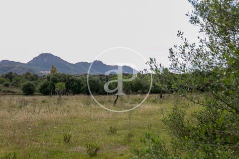 Grond in Arta, Mallorca, Arta - € 3.500.000 | Ref: VPM2405008 - foto 25