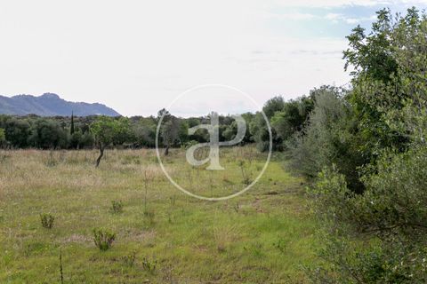 Grond in Arta, Mallorca, Arta - € 3.500.000 | Ref: VPM2405008 - foto 26