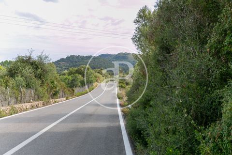 Grond in Arta, Mallorca, Arta - € 3.500.000 | Ref: VPM2405008 - foto 27