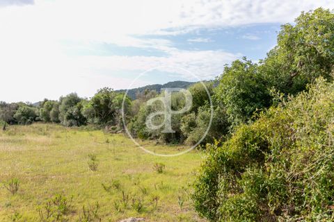 Grond in Arta, Mallorca, Arta - € 3.500.000 | Ref: VPM2405008 - foto 28