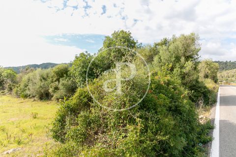 Grond in Arta, Mallorca, Arta - € 3.500.000 | Ref: VPM2405008 - foto 29
