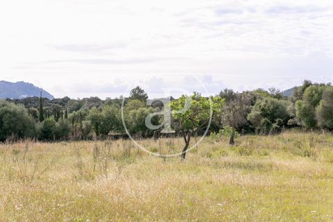 Grond in Arta, Mallorca, Arta - € 3.500.000 | Ref: VPM2405008 - foto 30