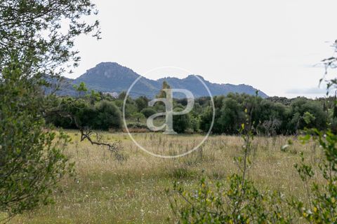 Grond in Arta, Mallorca, Arta - € 3.500.000 | Ref: VPM2405008 - foto 32