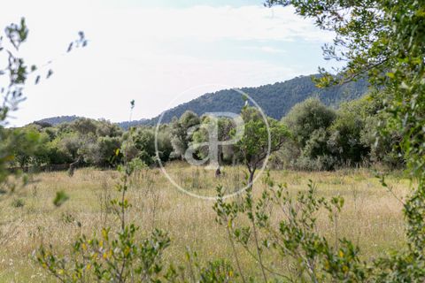 Grond in Arta, Mallorca, Arta - € 3.500.000 | Ref: VPM2405008 - foto 34