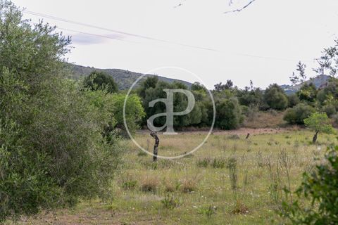 Grond in Arta, Mallorca, Arta - € 3.500.000 | Ref: VPM2405008 - foto 35