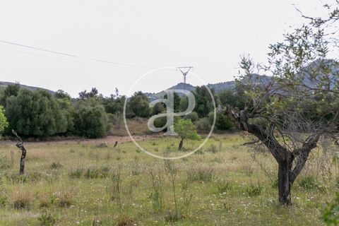 Grond in Arta, Mallorca, Arta - € 3.500.000 | Ref: VPM2405008 - foto 36