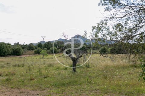 Grond in Arta, Mallorca, Arta - € 3.500.000 | Ref: VPM2405008 - foto 37