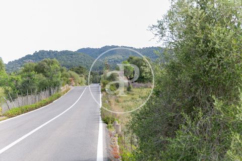 Grond in Arta, Mallorca, Arta - € 3.500.000 | Ref: VPM2405008 - foto 38
