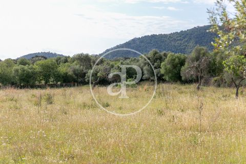 Grond in Arta, Mallorca, Arta - € 3.500.000 | Ref: VPM2405008 - foto 39
