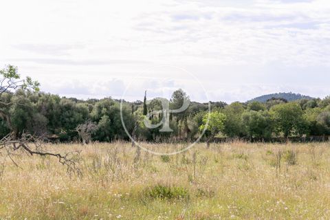 Grond in Arta, Mallorca, Arta - € 3.500.000 | Ref: VPM2405008 - foto 40