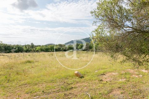 Grond in Arta, Mallorca, Arta - € 3.500.000 | Ref: VPM2405008 - foto 41