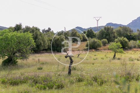 Grond in Arta, Mallorca, Arta - € 3.500.000 | Ref: VPM2405008 - foto 42