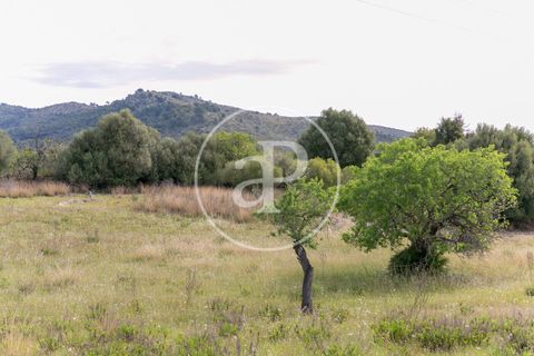 Grond in Arta, Mallorca, Arta - € 3.500.000 | Ref: VPM2405008 - foto 43