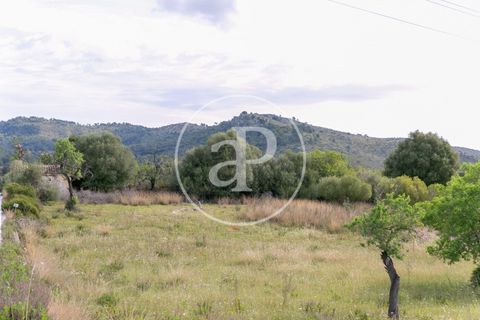 Grond in Arta, Mallorca, Arta - € 3.500.000 | Ref: VPM2405008 - foto 44