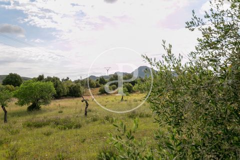 Grond in Arta, Mallorca, Arta - € 3.500.000 | Ref: VPM2405008 - foto 45