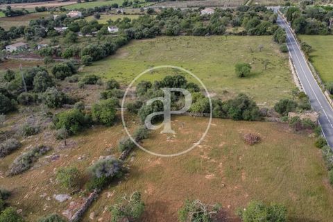 Grond in Arta, Mallorca, Arta - € 3.500.000 | Ref: VPM2405008 - foto 46