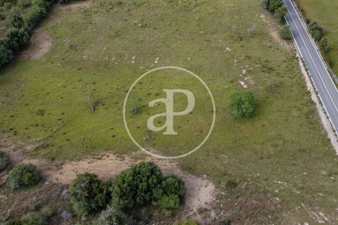 Grond in Arta, Mallorca, Arta - € 3.500.000 | Ref: VPM2405008 - foto 48