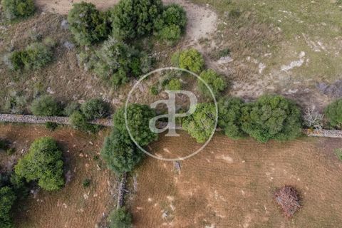 Grond in Arta, Mallorca, Arta - € 3.500.000 | Ref: VPM2405008 - foto 49