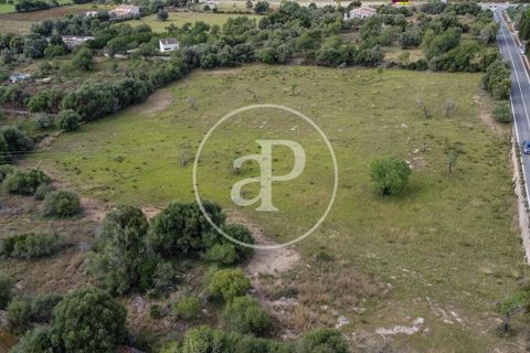 Grond in Arta, Mallorca, Arta - € 3.500.000 | Ref: VPM2405008 - foto 50