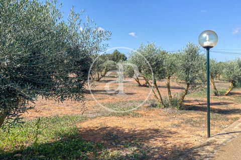 Villa a Llucmajor, Mallorca, Llucmajor - € 10.000/mes | Ref: APMS2410018 - foto 38