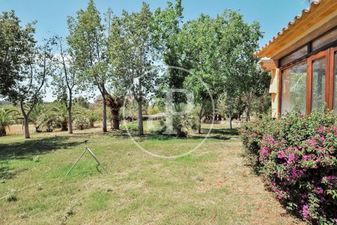 Villa a Binissalem, Mallorca, Binissalem - € 2.500.000 | Ref: VPM2410009 - foto 32
