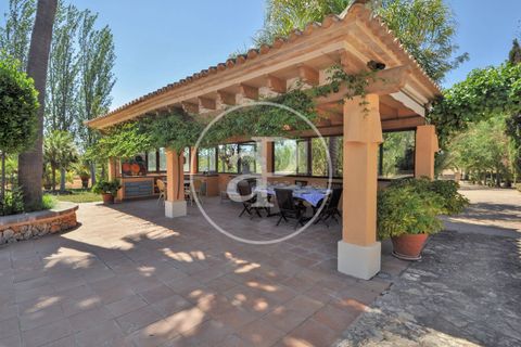 Villa a Binissalem, Mallorca, Binissalem - € 2.500.000 | Ref: VPM2410009 - foto 45