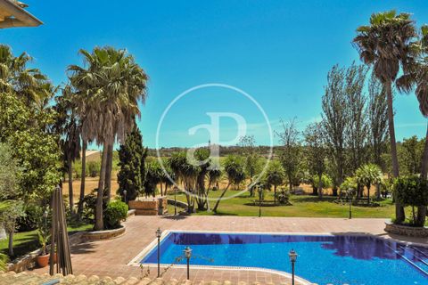 Villa a Binissalem, Mallorca, Binissalem - € 2.500.000 | Ref: VPM2410009 - foto 48