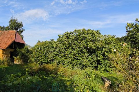 Villa a Lisieux, Calvados, Lisieux - € 216.500 | Ref: C20BBDF440C24D4E - foto 29