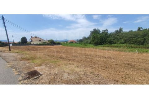 Helårsgrund i Gandra e Taiao, Viana do Castelo, Gandra e Taiao - € 49.500 | Ref: F1-07-7 - foto 2