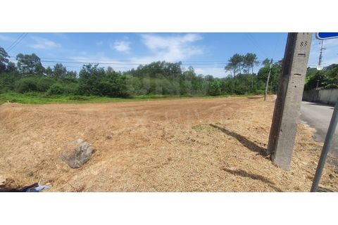 Helårsgrund i Gandra e Taiao, Viana do Castelo, Gandra e Taiao - € 49.500 | Ref: F1-07-7 - foto 3