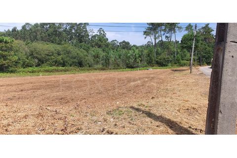 Helårsgrund i Gandra e Taiao, Viana do Castelo, Gandra e Taiao - € 49.500 | Ref: F1-07-7 - foto 5