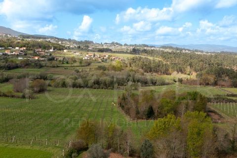 Terra a Fontoura, Viana do Castelo, Fontoura - € 28.000 | Ref: F1-05-3 - foto 4