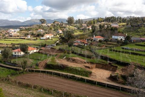 Terra a Fontoura, Viana do Castelo, Fontoura - € 28.000 | Ref: F1-05-3 - foto 6
