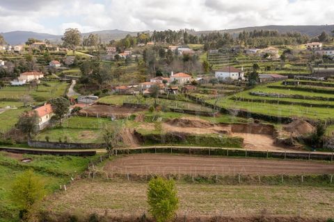 Terra a Fontoura, Viana do Castelo, Fontoura - € 28.000 | Ref: F1-05-3 - foto 8