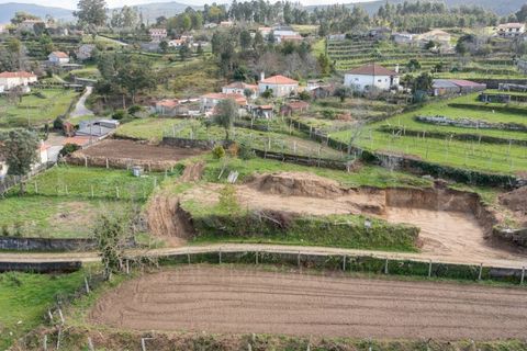 Terra a Fontoura, Viana do Castelo, Fontoura - € 28.000 | Ref: F1-05-3 - foto 9